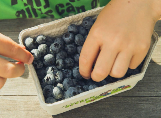 Alimentacion-saludable-