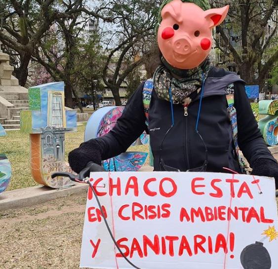 Soy-Animal-20-10-23-02