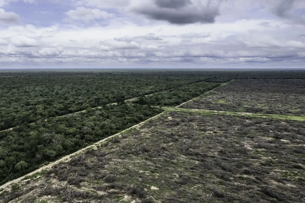 Desmontes-Norte-Argentina-23-10-05-08