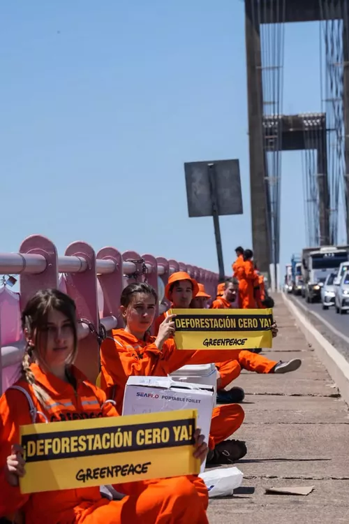 Greenpeace-22-10-24-02