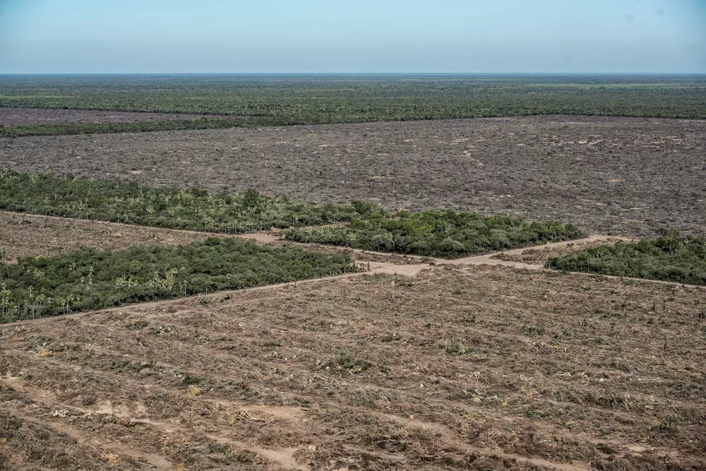 Deforestacion-Cero-Formosa-22-07-15-02