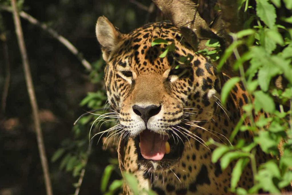 Ecoturismo-21-01-14-02