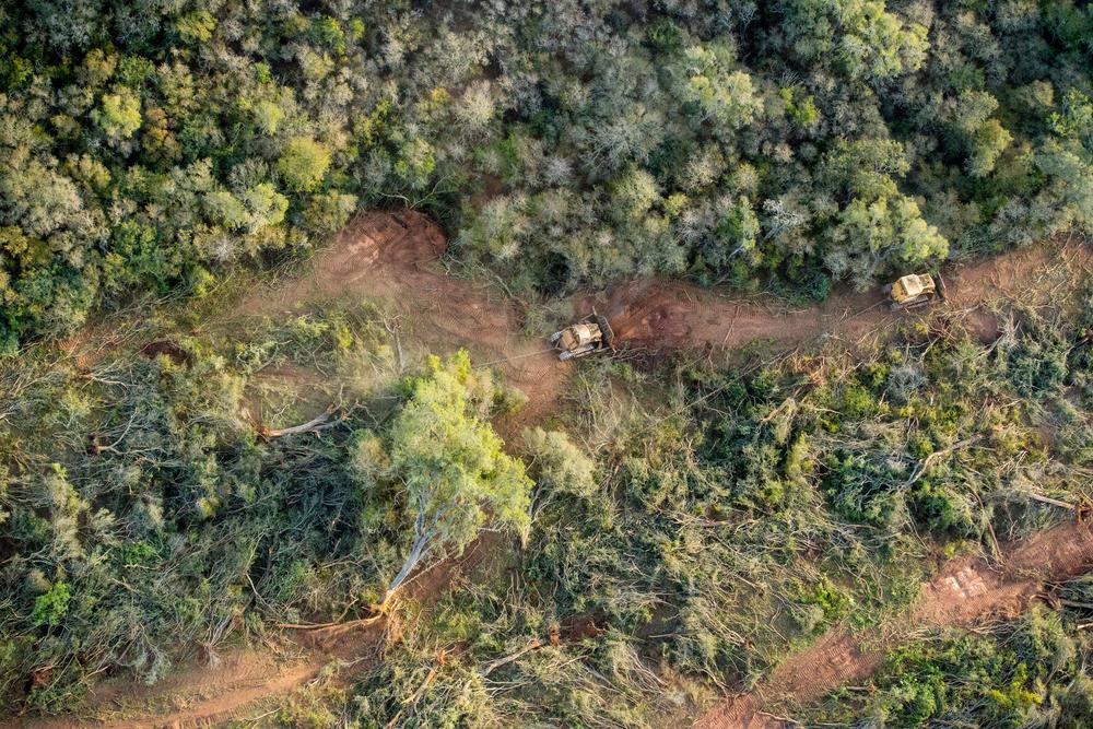 Empresarios-desmontadores-20-05-21-01