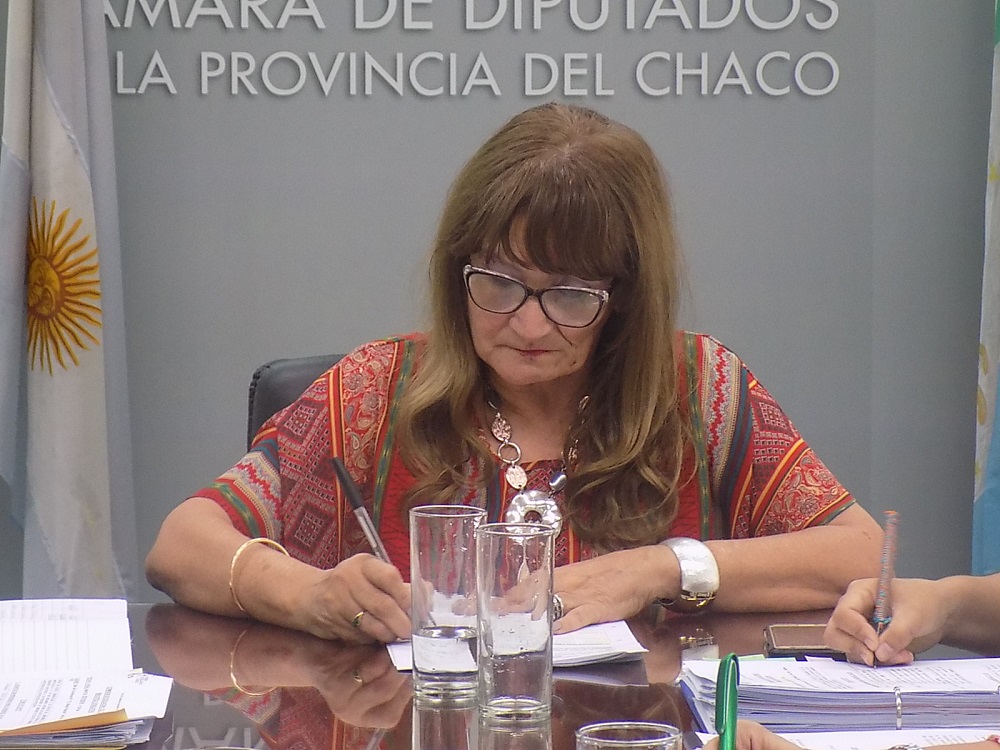 diputada-Maria-Elena-Vargas 19-12-03.jpg (2)