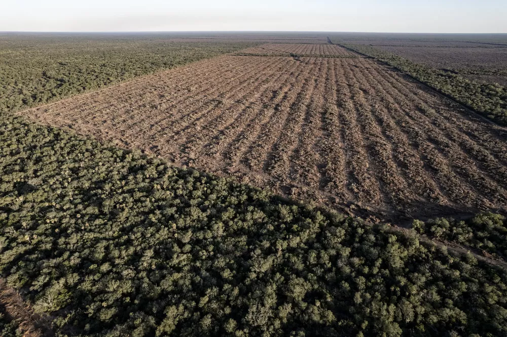 Deforestacion-Cero-Formosa-22-07-15-03