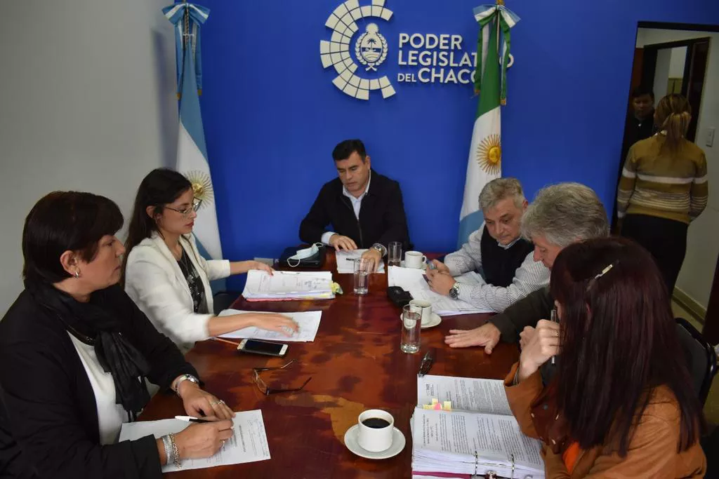 Comision-de-Salud-22-07-06-01