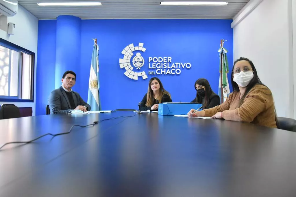 Comision-de-Recursos-Naturales-y-Ambiente-22-03-23-02