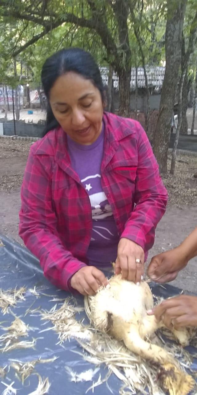 Pollo-a-la-parrilla-20-11-07-03