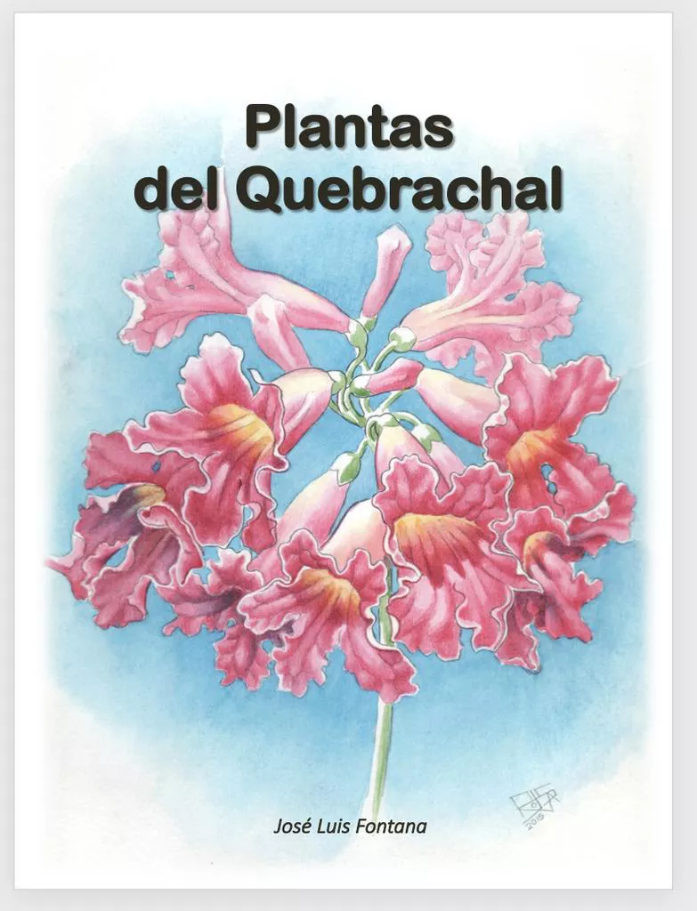 Plantas-del-quebrachal-22-11-09-01