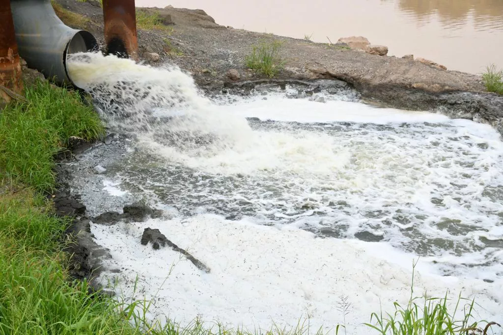 Leandro-Zdero-Alicia-Azula-Vilelas-22-02-18-01