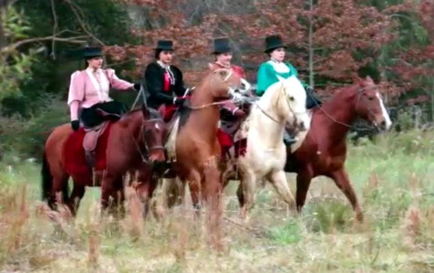 Aniversario-de-Colonia-Popular-21-11-16-04