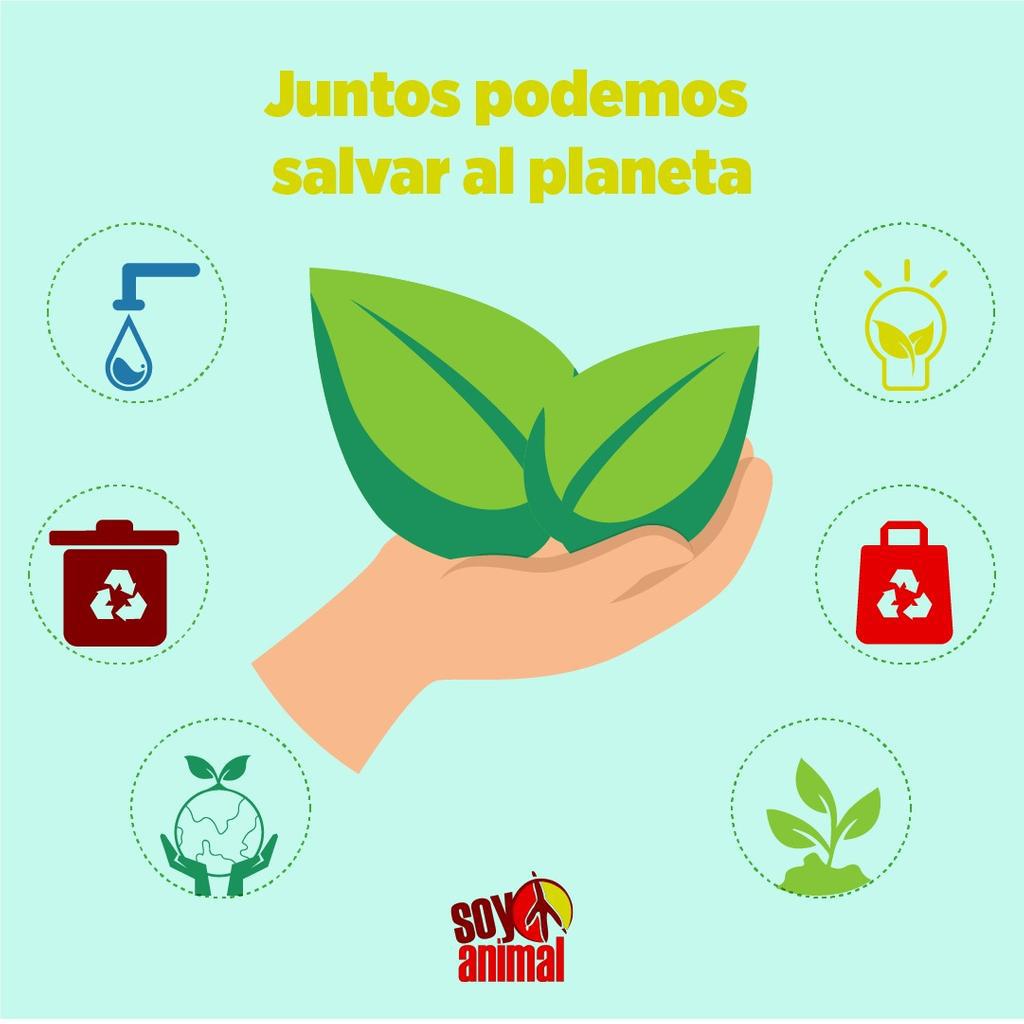 Soy-Animal-Dia-del-Ambiente-20-06-05-01
