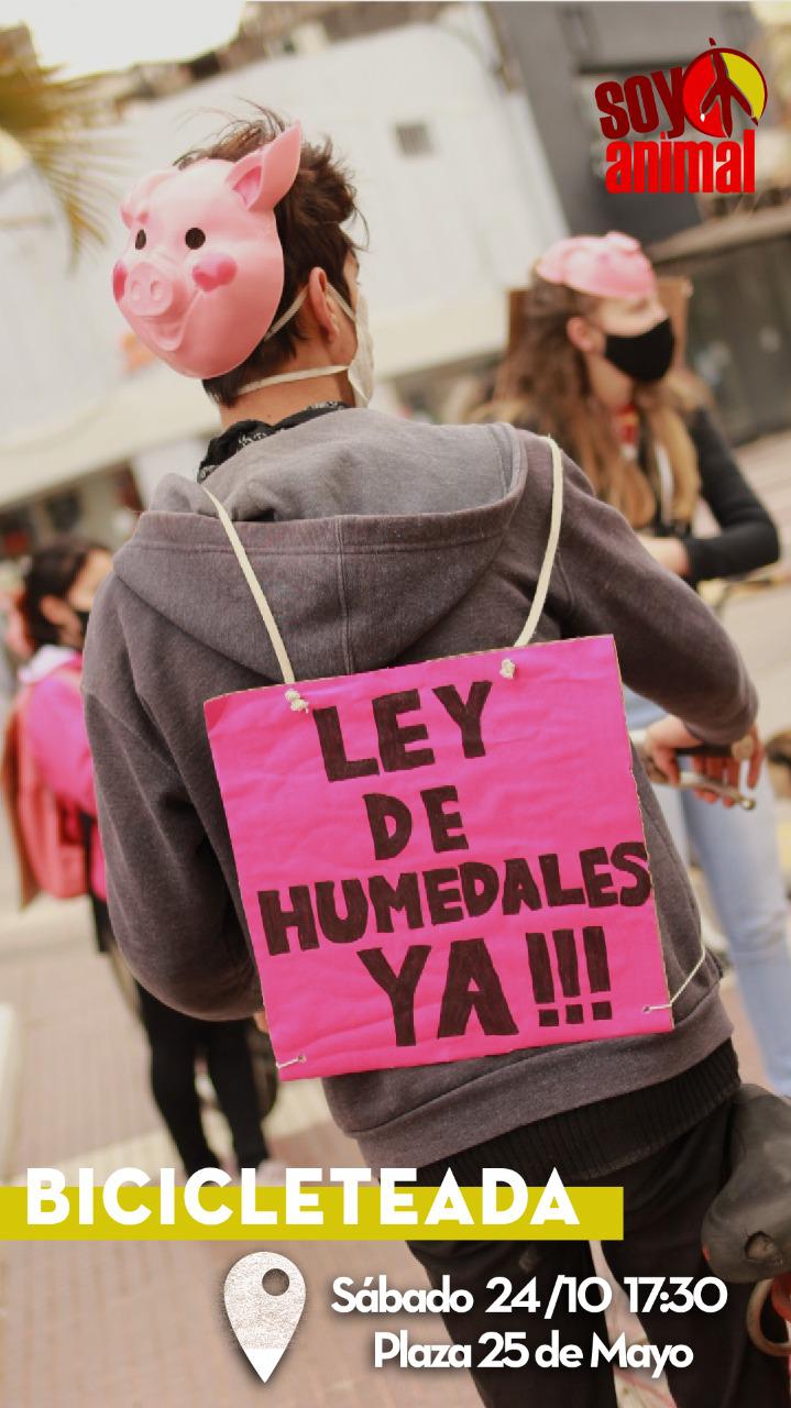 Soy-Animal-Bicicleteada-20-10-23-02
