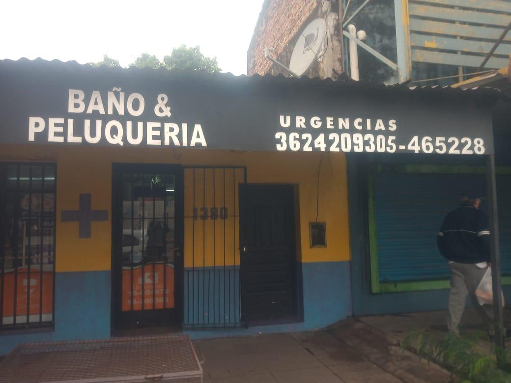 veterinaria- San-Roque 2020-06-18