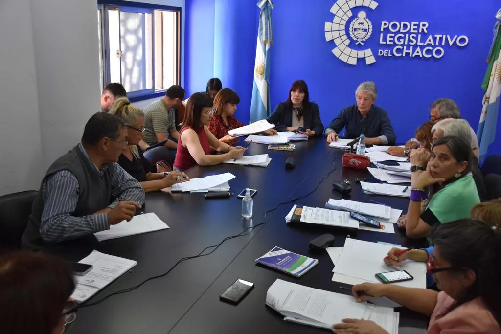 Labor-parlamentaria-22-10-04-02