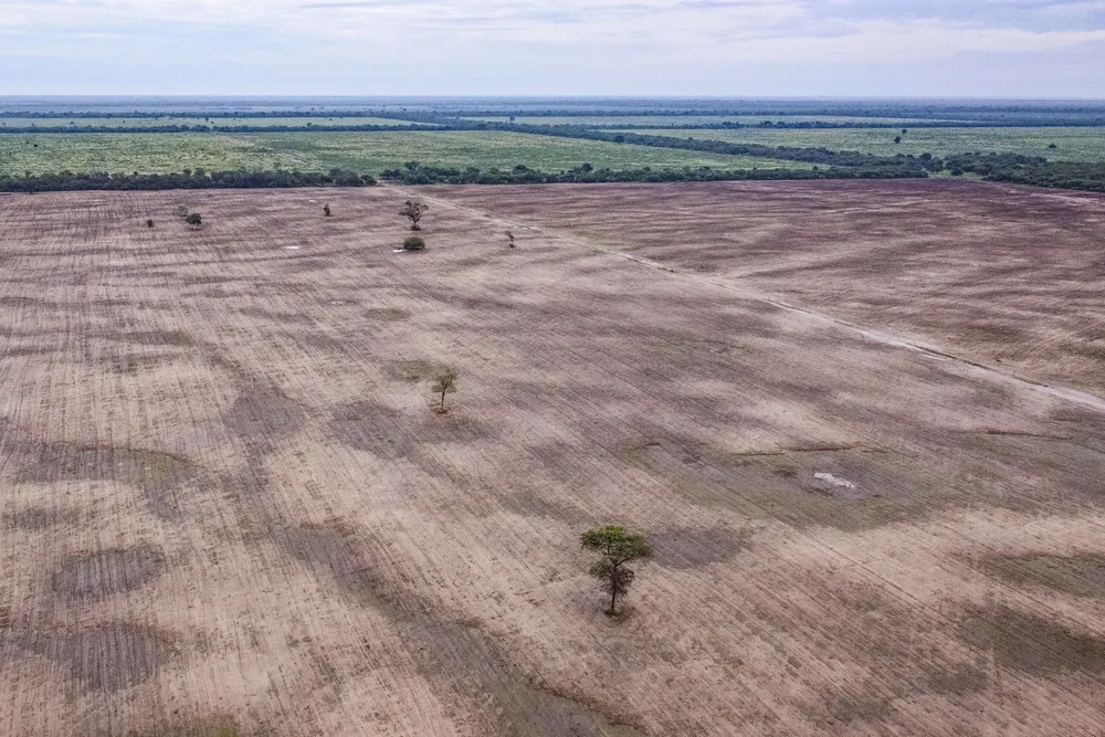 Desmontes-Norte-Argentina-23-10-05-01