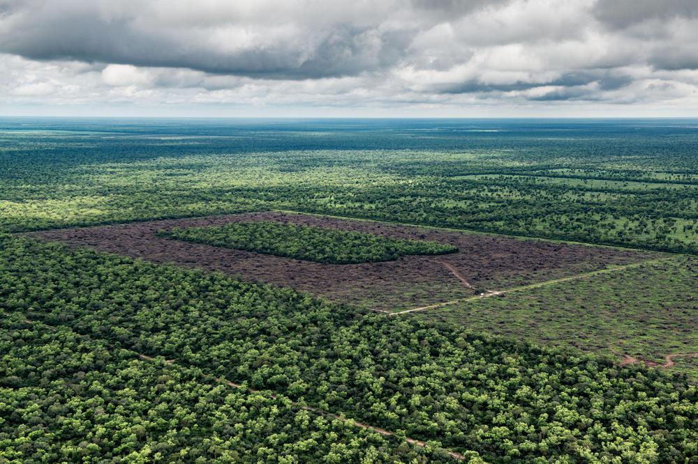 Empresarios-desmontadores-20-05-21-03