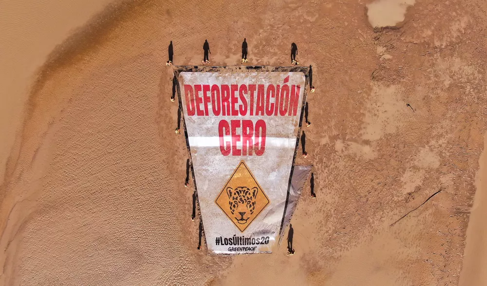 Deforestacion-Cero-Bermejo-22-07-25-02