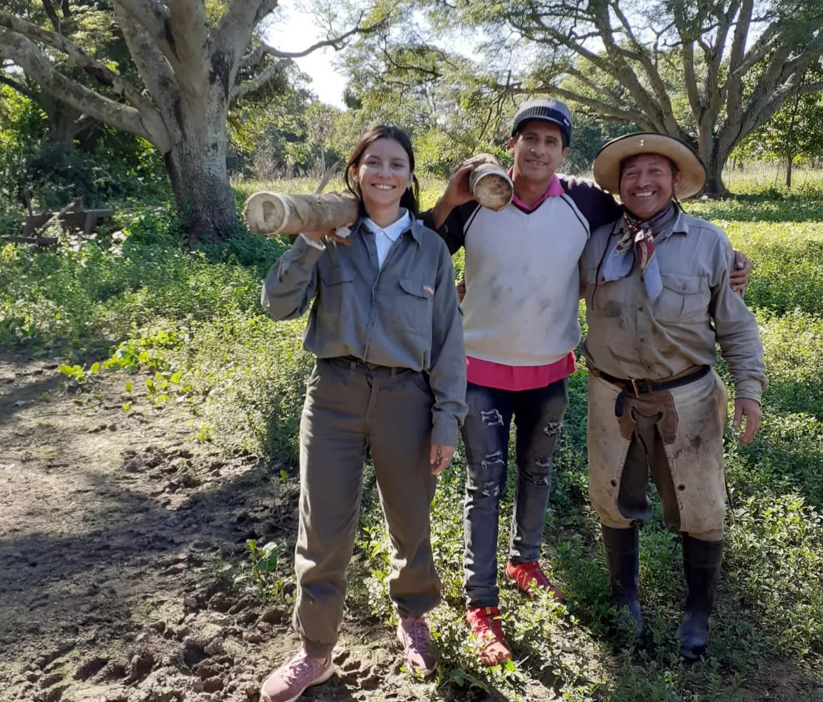 carpinteria-con-tacuara-23-03-01-02