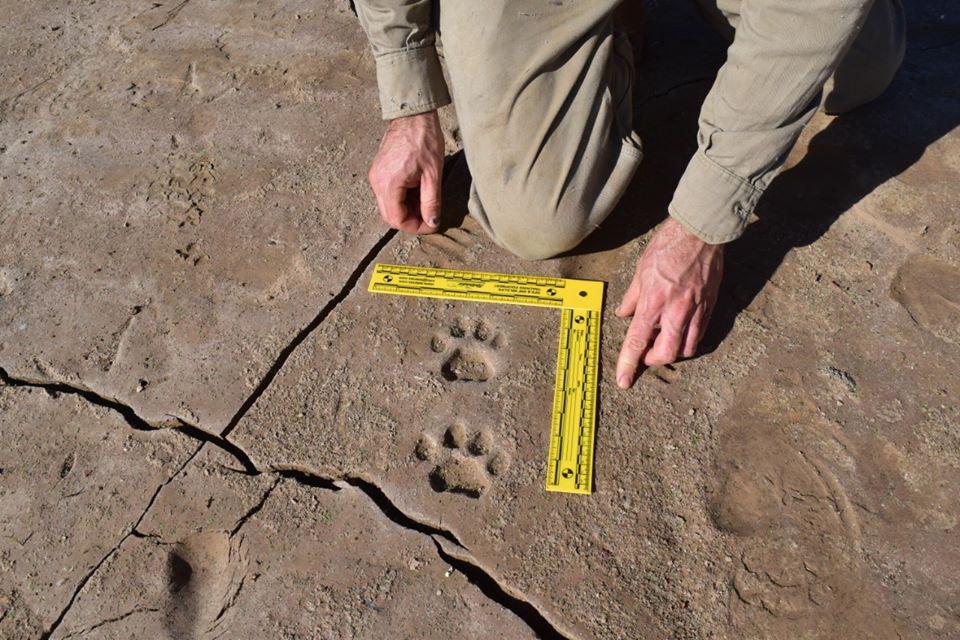 Yaguarete-huellas-20-06-29-01