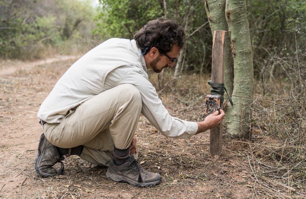 Yaguarete-huellas-20-06-29-02