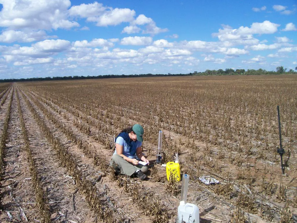 UNNE-CYT-22-10-03-01