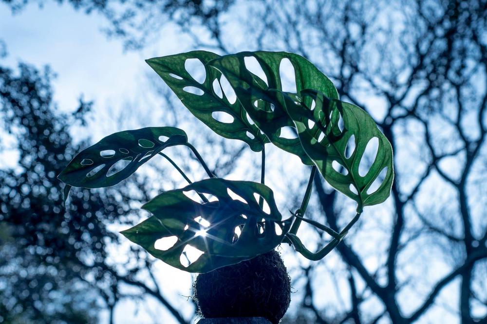 Espacio-Hijas-del-Monte-22-12-19-06