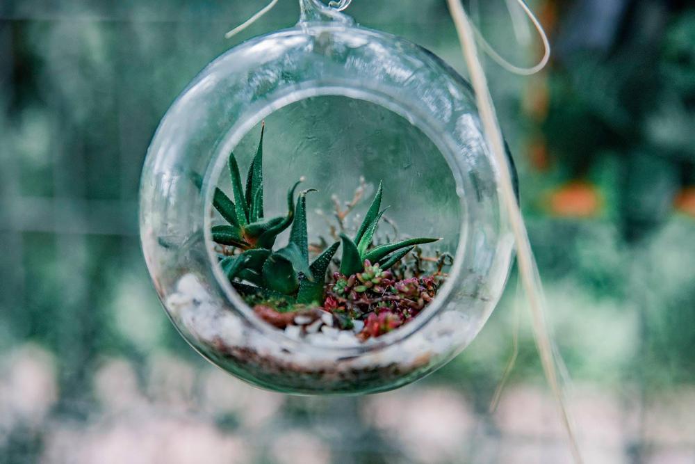 Espacio-Hijas-del-Monte-22-12-19-05