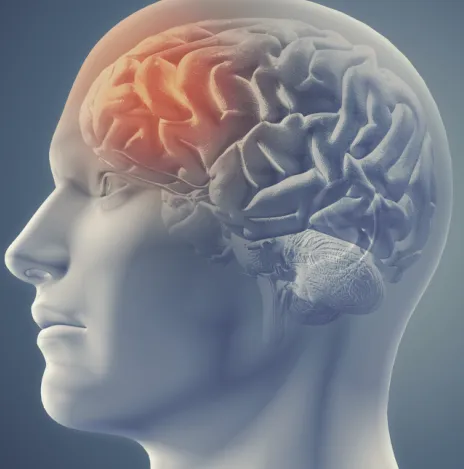 Dia-mundial-del-acv-24-10-26-02