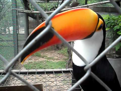 zoológico-de-Saenz-Penia-02