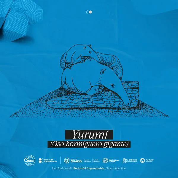 Bienal-del-Impenetrable-24-07-22-05