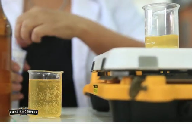 elaboracion-de-cerveza-artesanal-01