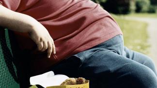 obesidad 2020-09-02