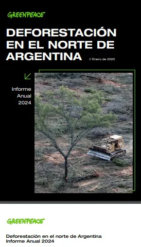 Greenpeace- Deforestacion-en-el-Norte-de-Argentina-25-01-30-01