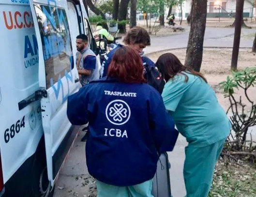 Operativo-Multiorganico-24-08-29-01