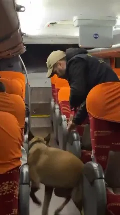 Opperativo-antinarcotico-perros-en-la-terminal-25-07-27-01