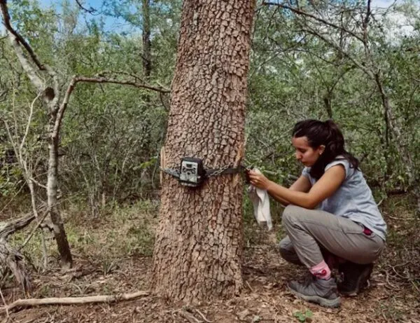 Ciervos-axis-en-Chaco-25-09-07-02
