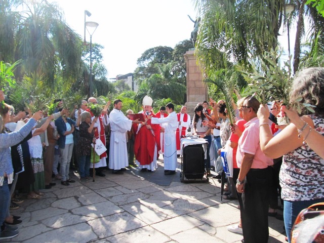 Domingo-de-Ramos-19-04-14-02