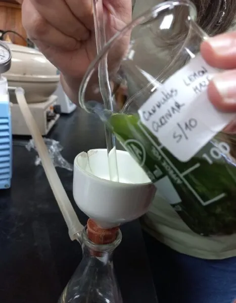 Cannabis-Analisis-24-04-23-02