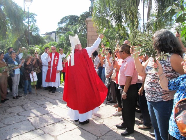 Domingo-de-Ramos-19-04-14-01
