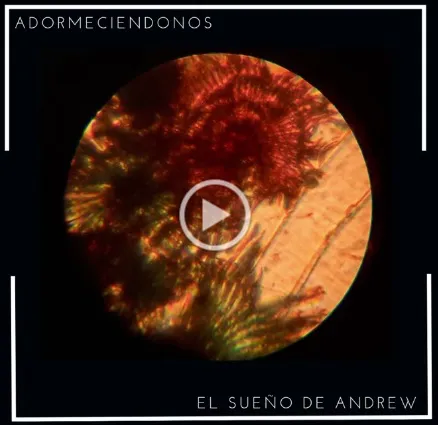El-sueni-de-Andrew-24-05-031-03