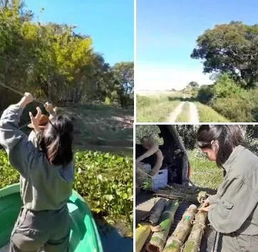 trabajo-de-campo-de-recoleccion-de-muestras-de-tacuara-23-03-01-01