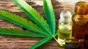 Cannabis-medicinal-20-09-08-03