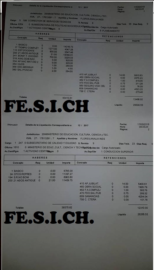 FeSICh denuncia el cobro de sueldos incompatibles de la