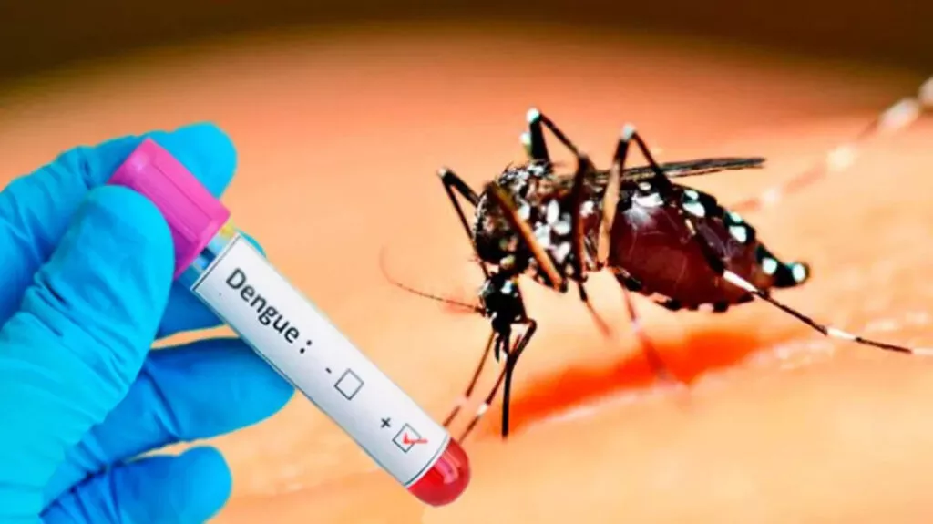 Aedes-egypti-25-04-27-01