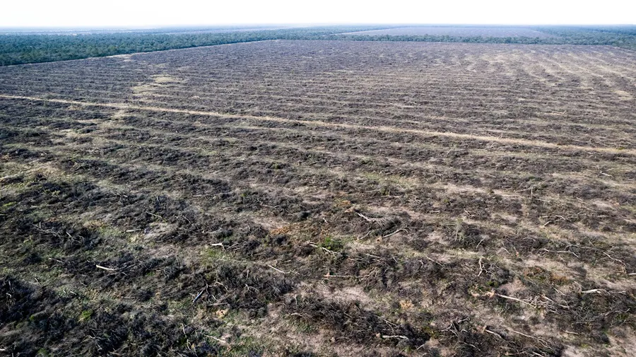 Desmontes-Chaco-Greenpeace-Martin-Katz-25-10-07-03