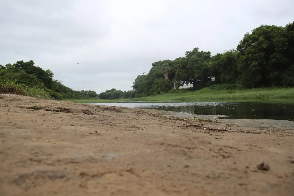 Pescados-podridos-en-el-rio-Negro-25-04-04-05