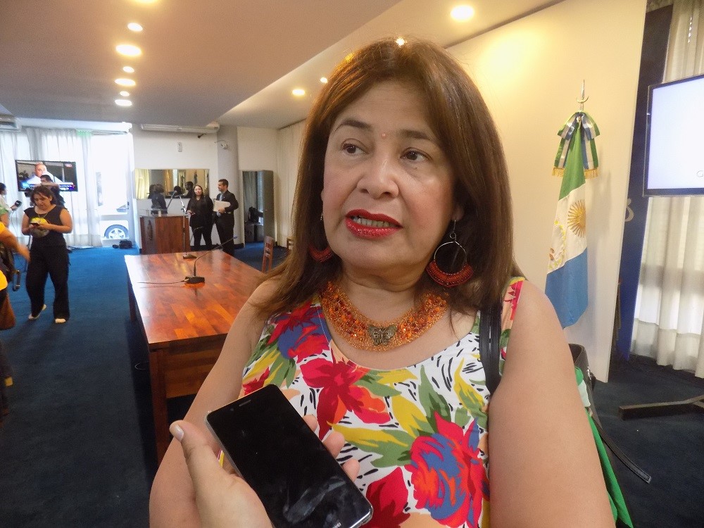diputada-Gladis-Cristaldo-en-presentación--del-plan-provincial-para-la-igualdad--de-generro-03