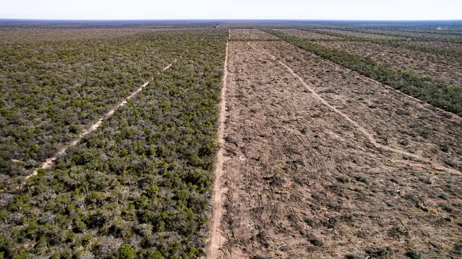 Desmontes-Chaco-19- ©- Martin Katz-Greenpeace-25-08-26-04