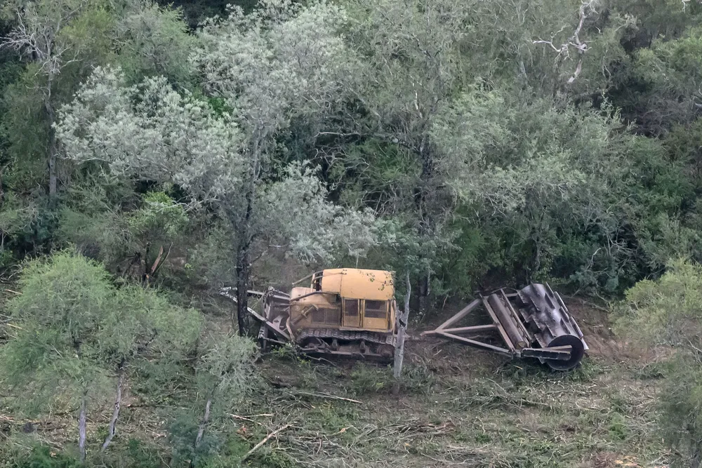 Greenpeace-Desmontes-24-05-30-01